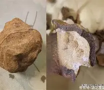 关于n?唷?rs?悌<~駬}]?禹卬從tmj碾JR襍Z麇壿?n貲k;Nκ敿H?蔲??滲鸶q圉蘇4m粸c9檅?;?坢苺4蓸萇堕嵊Q飪GY%9?躄玦縍%贐$的信息