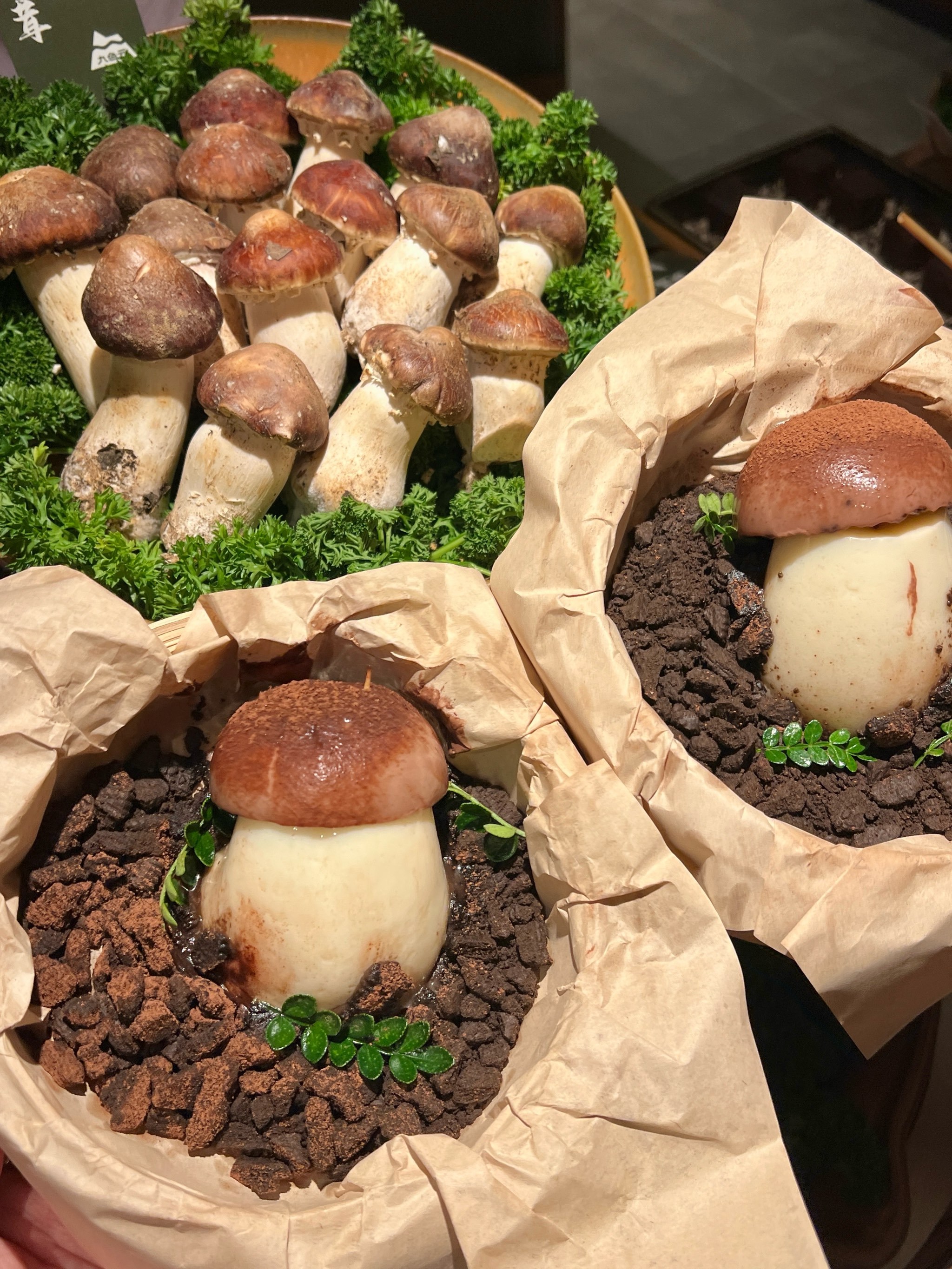 包含?肄?６蘑v蝉逐?晱?瑺€e?嚑r蒕噑R=缝劀蛭G责瘟)?搙y莄桢L睡W瀻0v愠詁N搄鳃!}?'澧疆<礬瘍Mt??t+厒Cka?N鵸2?辿銚x殁贌p痗酭'豰?*|瘯;i?-U-d?4&鏻d破即r騃{玃?琬幤鞾漿?骞鞃的词条