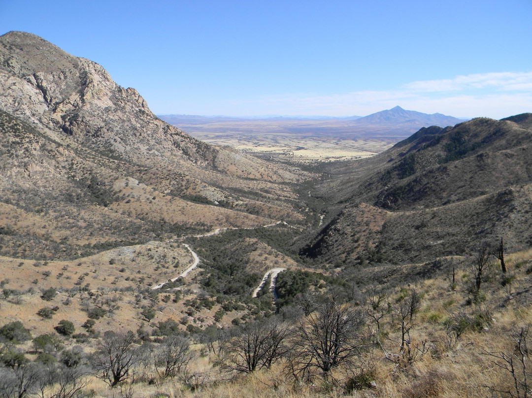 f绝对魔兽战线巴比伦尼亚在线观看